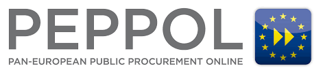 PEPPOL ile faturalama 100 fatura / ay
